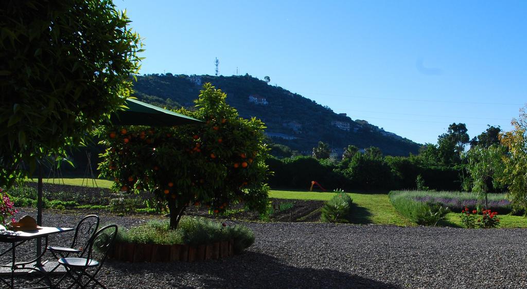 Agriturismo Coppi Rossi Torrazza  Exterior photo